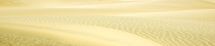 Mesquite Sand dunes